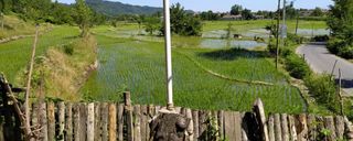 کلبه دنج چوبی کلبه دنج چوبی