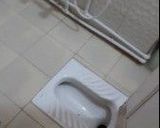 آپارتمان مبله، یک خواب واحد3 مجتمع هفت گنج کرمان آپارتمان مبله، یک خواب واحد3 مجتمع هفت گنج کرمان