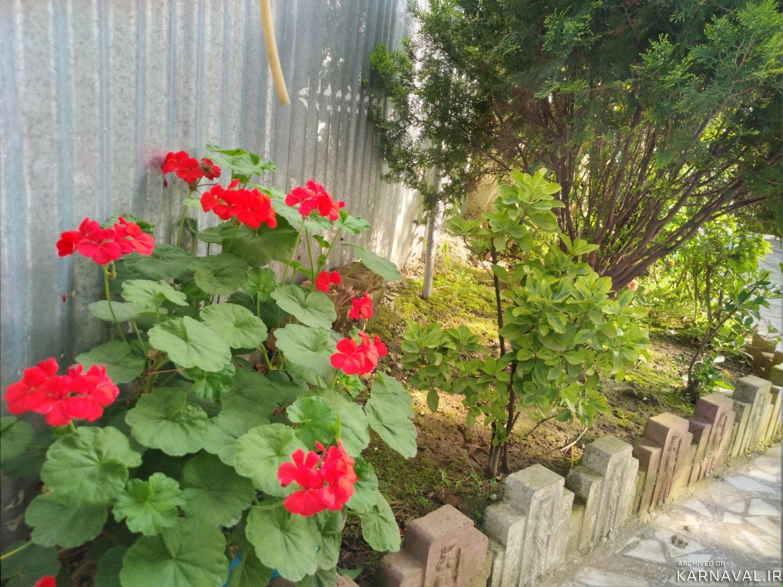 واحد مبله و تمیز، تراس دار، امام رود