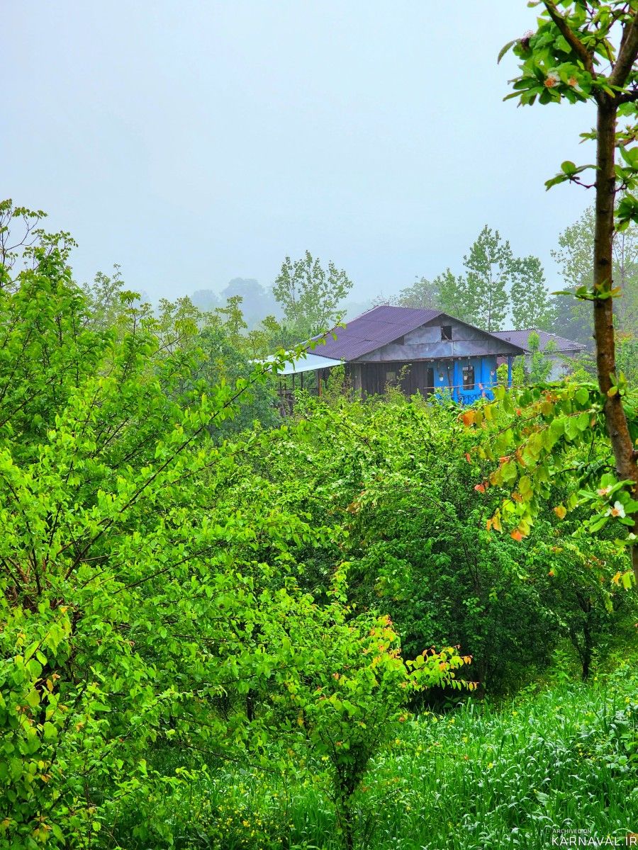 کلبه چوبی سنتی تراس دار ، در دل جنگل