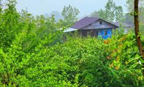 کلبه چوبی سنتی تراس دار ، در دل جنگل کلبه چوبی سنتی تراس دار ، در دل جنگل