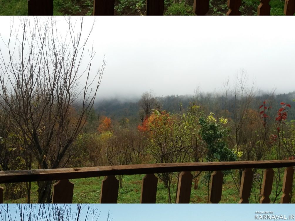 کلبه جنگلی تراس دار در طبیعت بکر روستای تیرکن