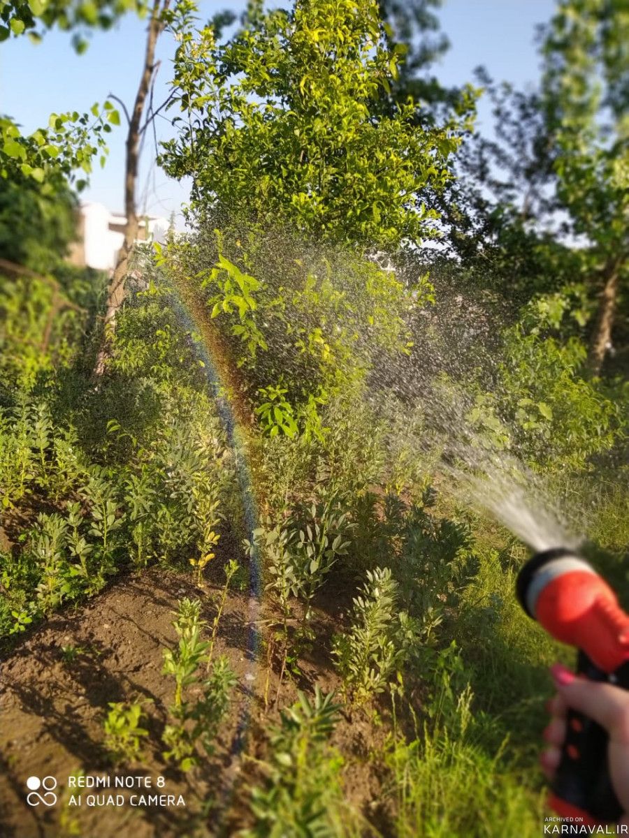 اگهی علی علی علی