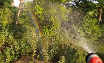 اگهی علی علی علی اگهی علی علی علی