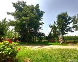 اقامتگاه روستایی دو خوابه در ماسال اقامتگاه روستایی دو خوابه در ماسال