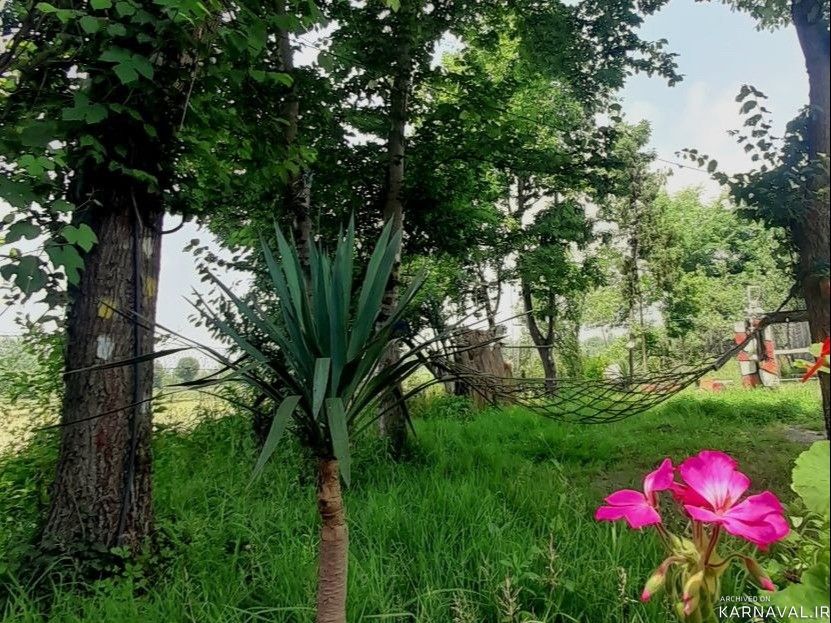 اقامتگاه روستایی دو خوابه در ماسال