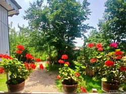 اقامتگاه روستایی دو خوابه در ماسال اقامتگاه روستایی دو خوابه در ماسال