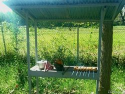 اقامتگاه روستایی دو خوابه در ماسال اقامتگاه روستایی دو خوابه در ماسال