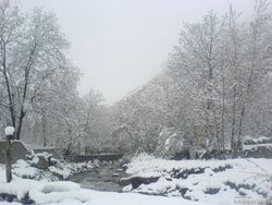 کلاردشت، ویلا دربست کنار رودخانه با ویو کوه و جنگل کلاردشت، ویلا دربست کنار رودخانه با ویو کوه و جنگل