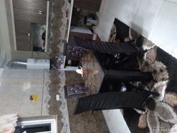 واحد مبله کاسپین، طبقه اول در ساحل گیسوم واحد مبله کاسپین، طبقه اول در ساحل گیسوم