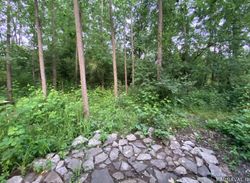 کلبه زیبا با سقف چوبی و وان (تاینی کابین) کلبه زیبا با سقف چوبی و وان (تاینی کابین)