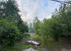 کلبه زیبا با سقف چوبی و وان (تاینی کابین) کلبه زیبا با سقف چوبی و وان (تاینی کابین)