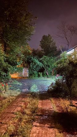 کلبه زیبا با سقف چوبی و وان (تاینی کابین) کلبه زیبا با سقف چوبی و وان (تاینی کابین)