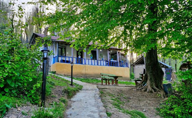 کلبه جنگلی نزدیک رودخانه و آبشار کلبه جنگلی نزدیک رودخانه و آبشار