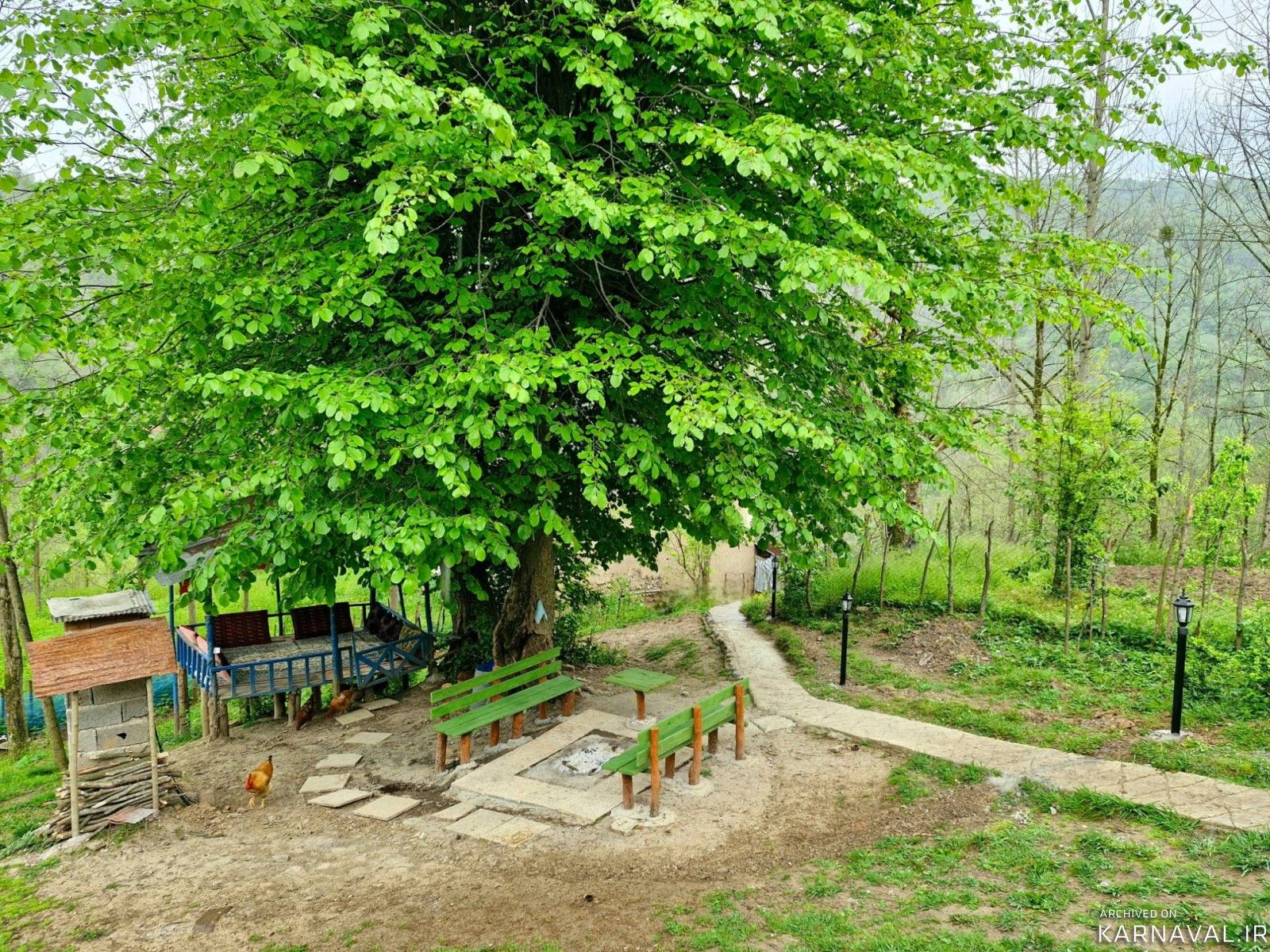 کلبه جنگلی نزدیک رودخانه و آبشار