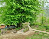 کلبه جنگلی نزدیک رودخانه و آبشار کلبه جنگلی نزدیک رودخانه و آبشار