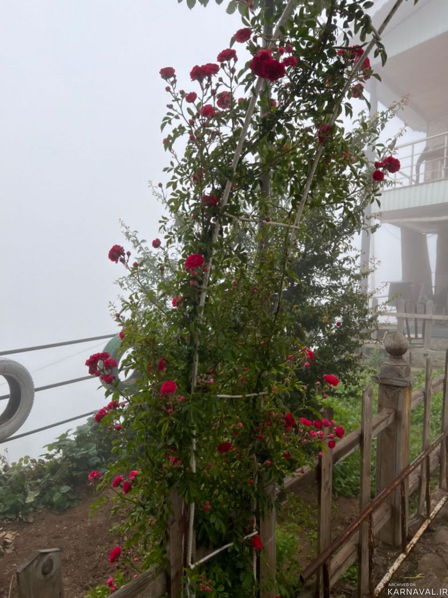 ویلای تک خواب با ویوی ابدی جنگل و ابر