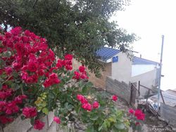 ویلای تک خواب با ویوی ابدی جنگل و ابر ویلای تک خواب با ویوی ابدی جنگل و ابر