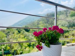 کوهپایـه چشمه دمکش سرولاتی کوهپایـه چشمه دمکش سرولاتی