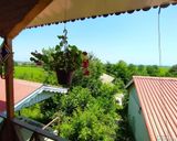 کلبه با نمای چوبی و تراس با ویوی بینظیر کلبه با نمای چوبی و تراس با ویوی بینظیر