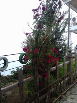 سوییت 40 متری فیلبند با ویوی دریاچه ابر سوییت 40 متری فیلبند با ویوی دریاچه ابر