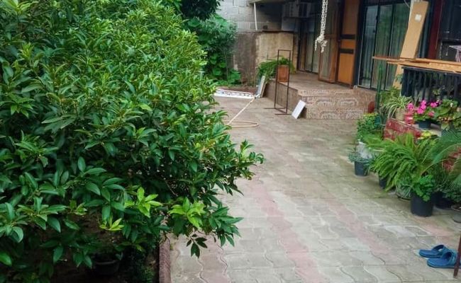 سوییت چوبی نقلی دلربا در رویان سوییت چوبی نقلی دلربا در رویان