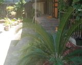 سوییت چوبی نقلی دلربا در رویان سوییت چوبی نقلی دلربا در رویان