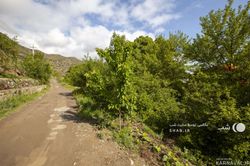 اقامتگاه ویلایی نجفیان(طبقه اول) اقامتگاه ویلایی نجفیان(طبقه اول)