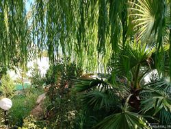 باغ ویلا ملکی استخرسرپوشیده آبگرم با امکانت سرگرمی باغ ویلا ملکی استخرسرپوشیده آبگرم با امکانت سرگرمی