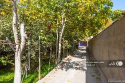 باغ ویلای دو خوابه دنج در باغبهادران باغ ویلای دو خوابه دنج در باغبهادران