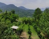واحد مبله با چشم انداز زیبا در روستای تبر سرا واحد مبله با چشم انداز زیبا در روستای تبر سرا