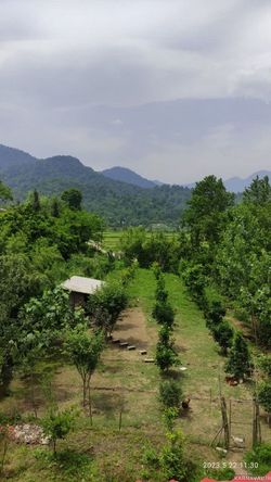 واحد مبله با چشم انداز زیبا در روستای تبر سرا واحد مبله با چشم انداز زیبا در روستای تبر سرا