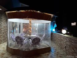 واحد مبله با حیاط خلوت آلاچیقدار و باربیکیو واحد مبله با حیاط خلوت آلاچیقدار و باربیکیو