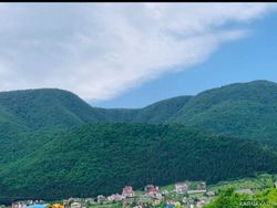 ویلا ۲خوابه با چشم انداز جنگل (طبقه ۲) ویلا ۲خوابه با چشم انداز جنگل (طبقه ۲)