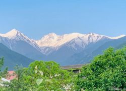 ویلا ۲خوابه با چشم انداز جنگل (طبقه ۲) ویلا ۲خوابه با چشم انداز جنگل (طبقه ۲)