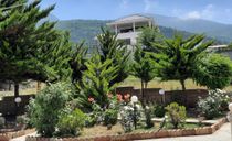 ویلا جنگلی ۳خوابه با چشم انداز زیبای جنگل ویلا جنگلی ۳خوابه با چشم انداز زیبای جنگل