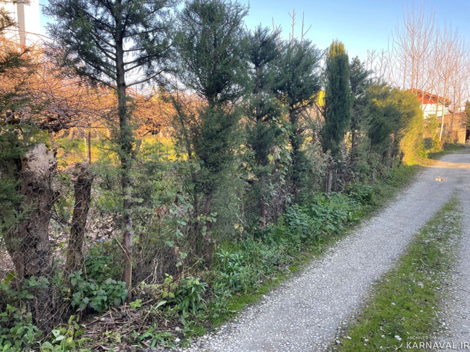 ویلا یک خوابه طراوت