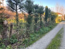 ویلا یک خوابه طراوت ویلا یک خوابه طراوت