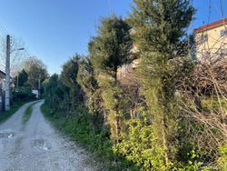 ویلا یک خوابه طراوت ویلا یک خوابه طراوت