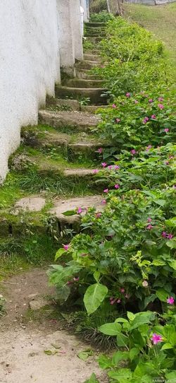 واحد دوبلکس و مبله با تراس ویو عالی واحد دوبلکس و مبله با تراس ویو عالی