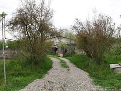 واحد دربست در باغی سرسبز و زیبا، روستای درازکلا واحد دربست در باغی سرسبز و زیبا، روستای درازکلا
