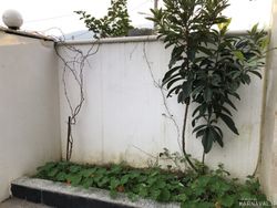 واحد نوساز و مدرن با تراس و ویو عالی و فوتبال دستی واحد نوساز و مدرن با تراس و ویو عالی و فوتبال دستی