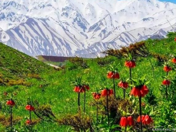 ویلای ییلاقی دربست در روستای قلعه پاچه