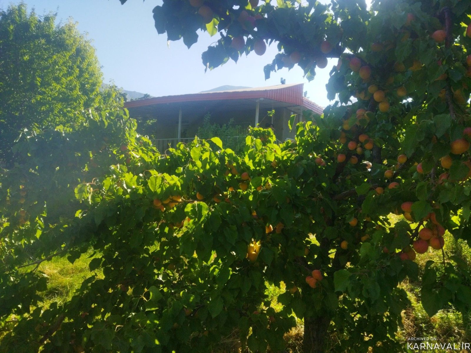 ویلای ییلاقی دربست در روستای قلعه پاچه ویلای ییلاقی دربست در روستای قلعه پاچه