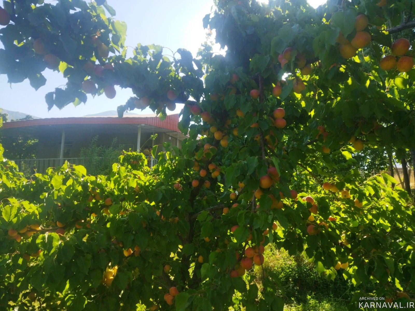 ویلای ییلاقی دربست در روستای قلعه پاچه
