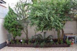 دو خوابه اقتصادی و مرتب با حیاط دربست دو خوابه اقتصادی و مرتب با حیاط دربست