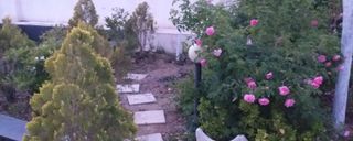 ویلای پروانه استخرچهارفصل ویلای پروانه استخرچهارفصل