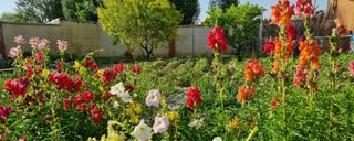 بومگردی پلاسجان اتاق دو نفره جیران بومگردی پلاسجان اتاق دو نفره جیران