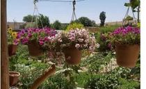 بومگردی پلاسجان اتاق دو نفره جیران بومگردی پلاسجان اتاق دو نفره جیران