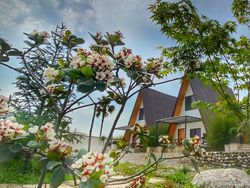 ویلا دوبلکس سوییسی با ویو بینظیر (2) ویلا دوبلکس سوییسی با ویو بینظیر (2)